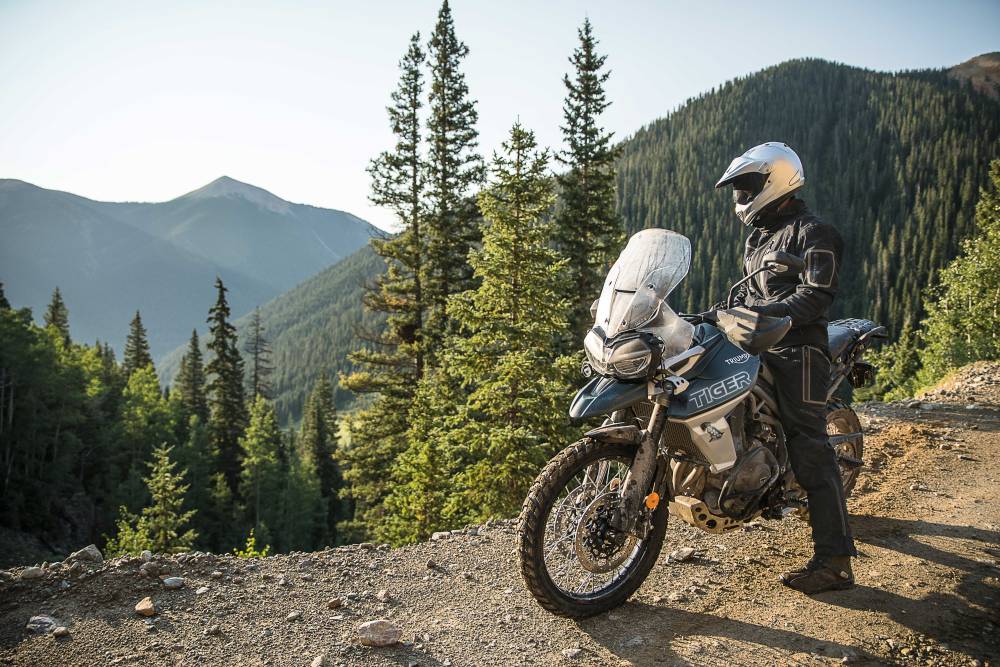 Moto Triumph parada com piloto contemplando uma floresta