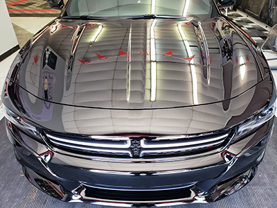 Vitrificação Da Pintura 2