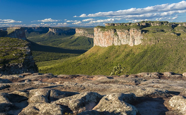 Publi Harley Davidson Riders Wanted 2021 (3)