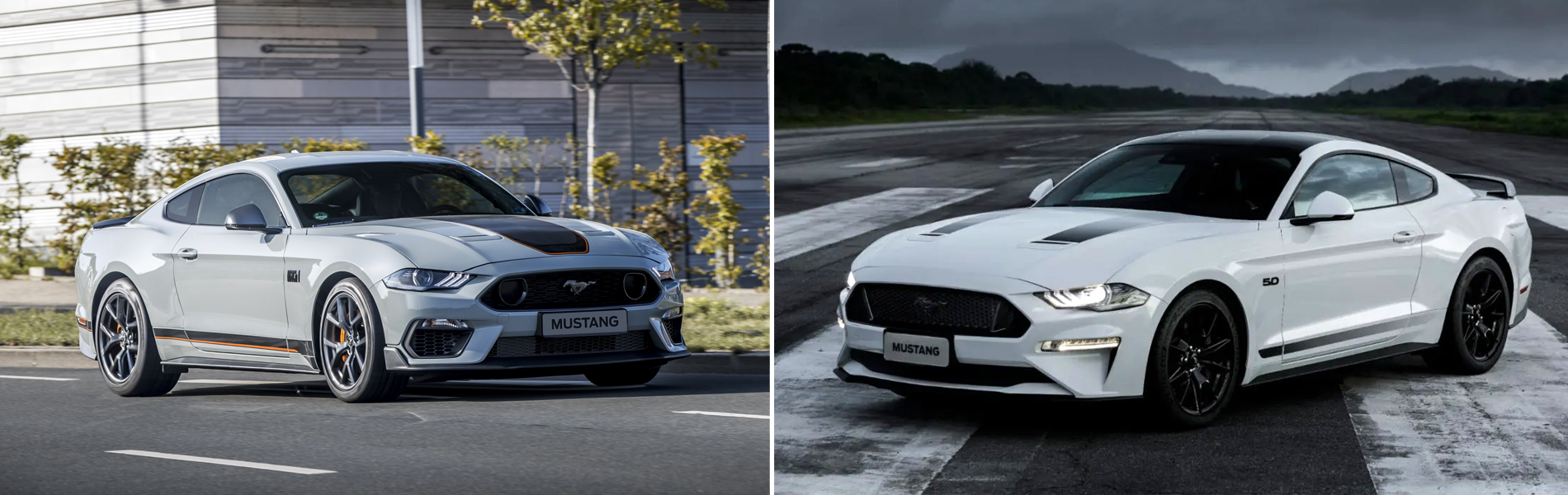 Mustang Mach1 vs Black Shadow