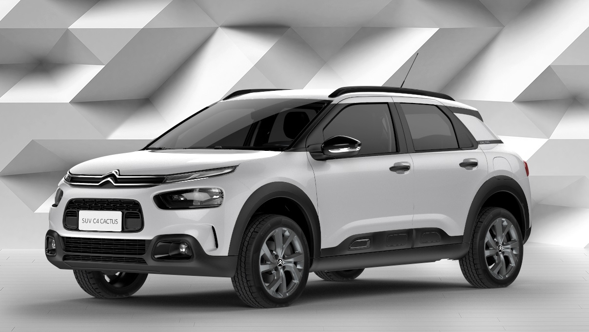 C4 Cactus Frente