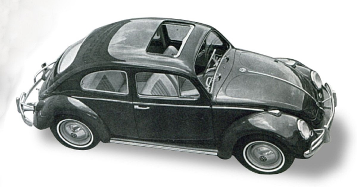 Thumbnail 15(fusca)