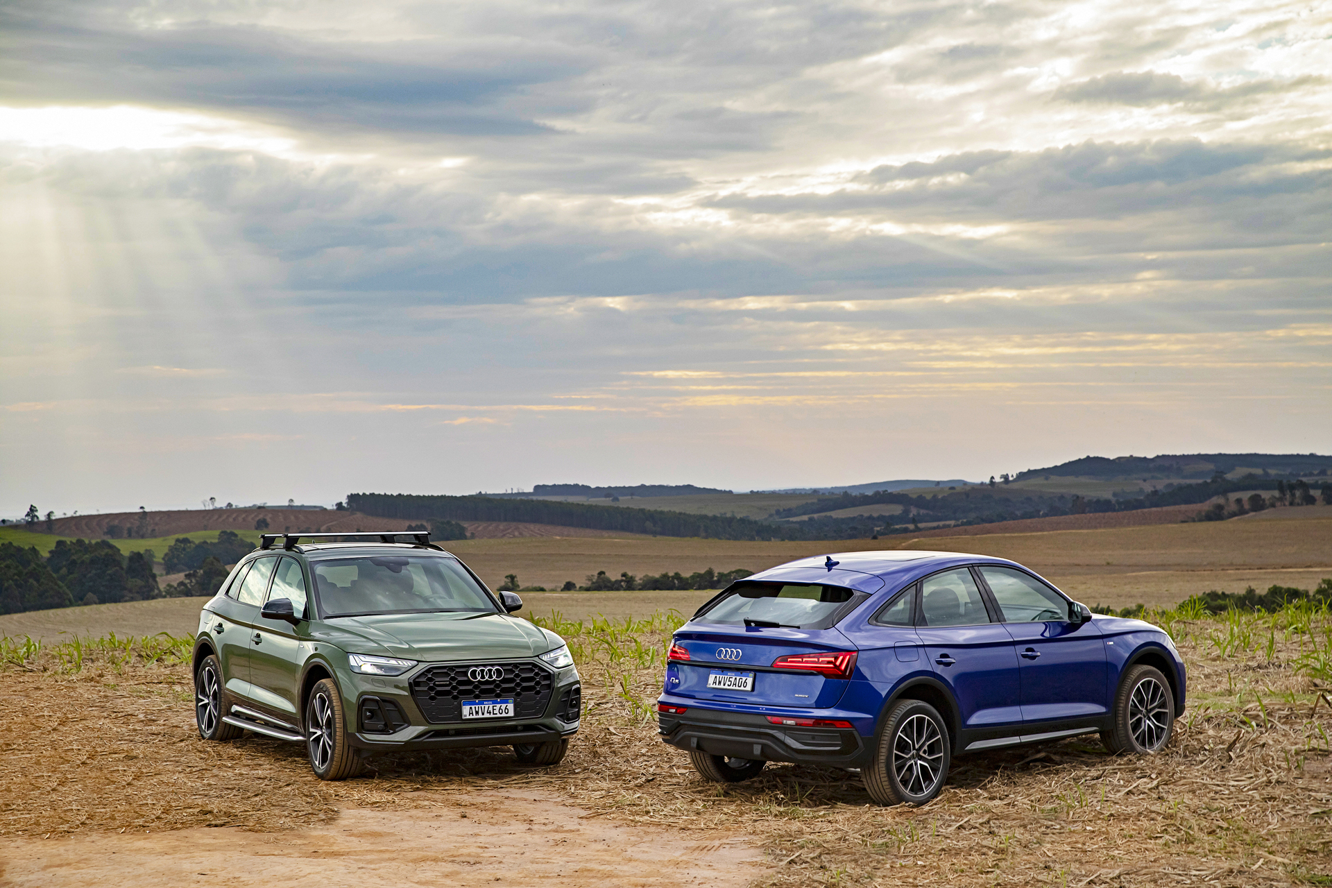 Audi Q5 e Q5 Sportback