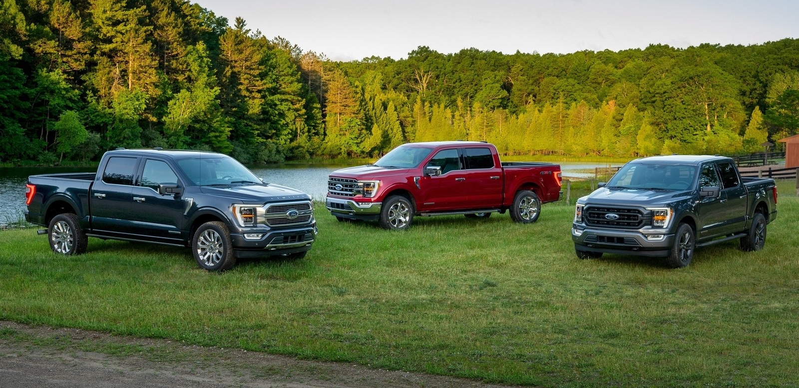 Ford F 150 2021 1600 19