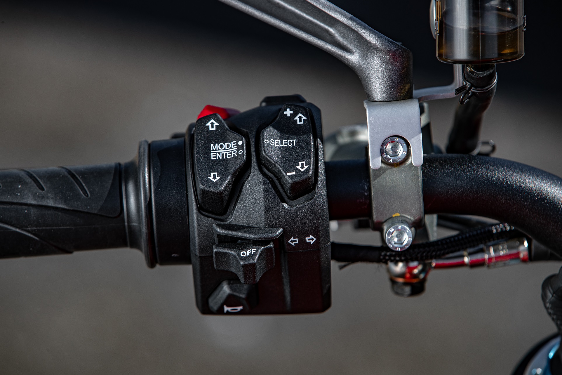 Photo: Simon Palfrader©/red