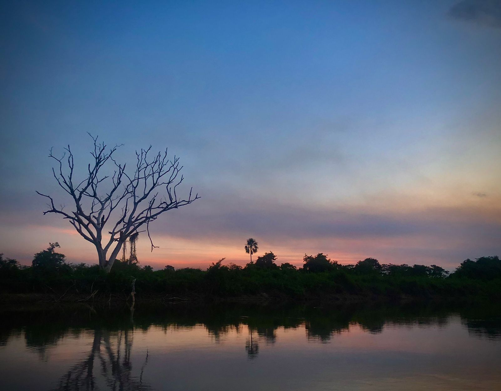 Viagem às Margens Do Rio Miranda