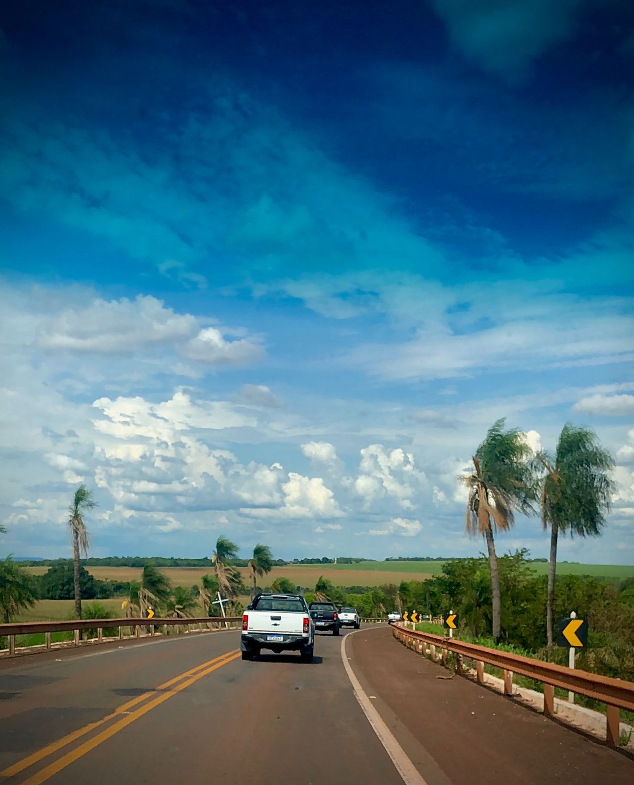 Chevrolet S10 Z71 No Pantanal Traseira