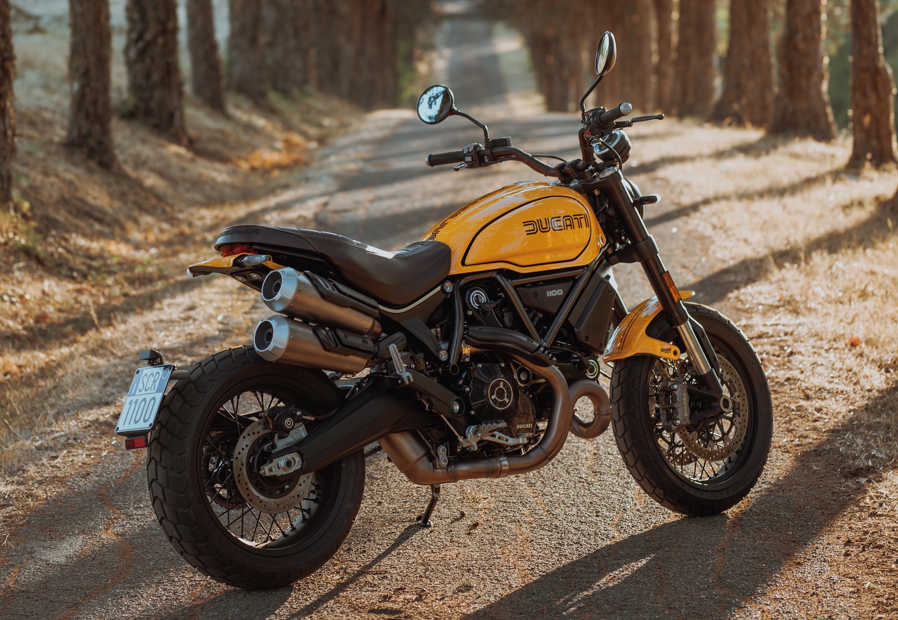 My22 Ducatiscrambler 1100tributepro 036 Uc342885 High Ducati