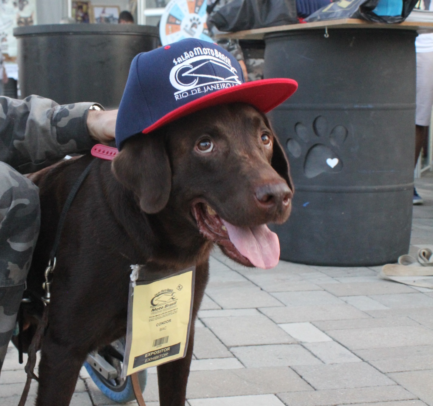 Salão Moto Brasil 5