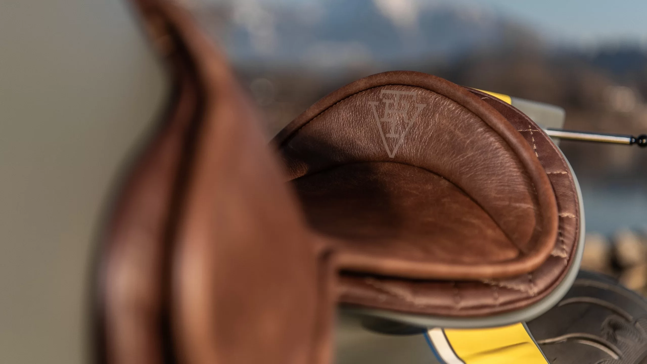 Bmw R 18 Customizada (8)