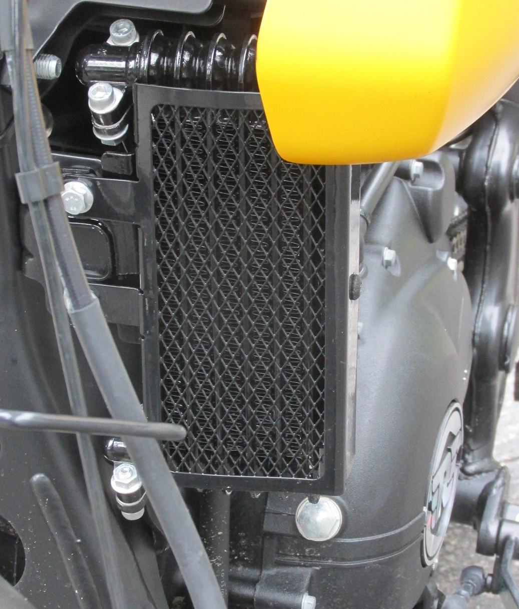 Royal Enfield Scram 411 Roberto Dutra 38 