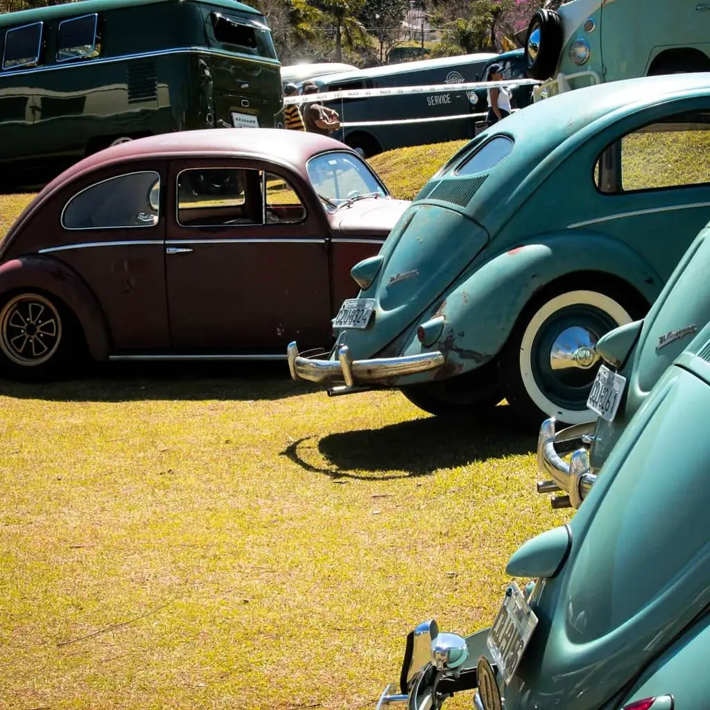 Carros Antigos ├üguas De Lind├│ia (2)