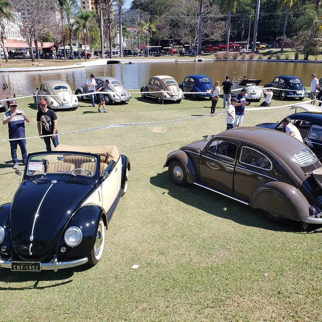 Carros Antigos ├üguas De Lind├│ia (3)