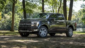 2024 Ford F 150 Platinum 03 001