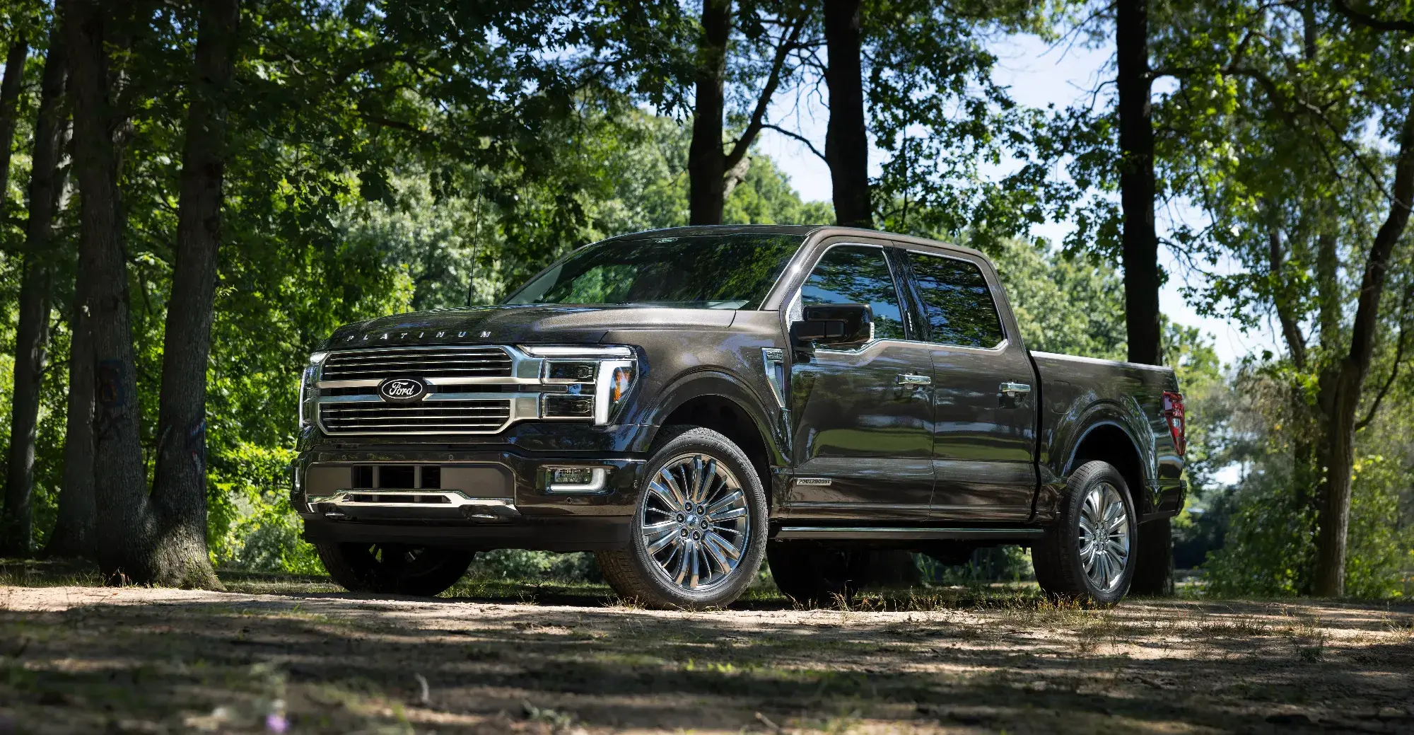 2024 Ford F 150 Platinum 01