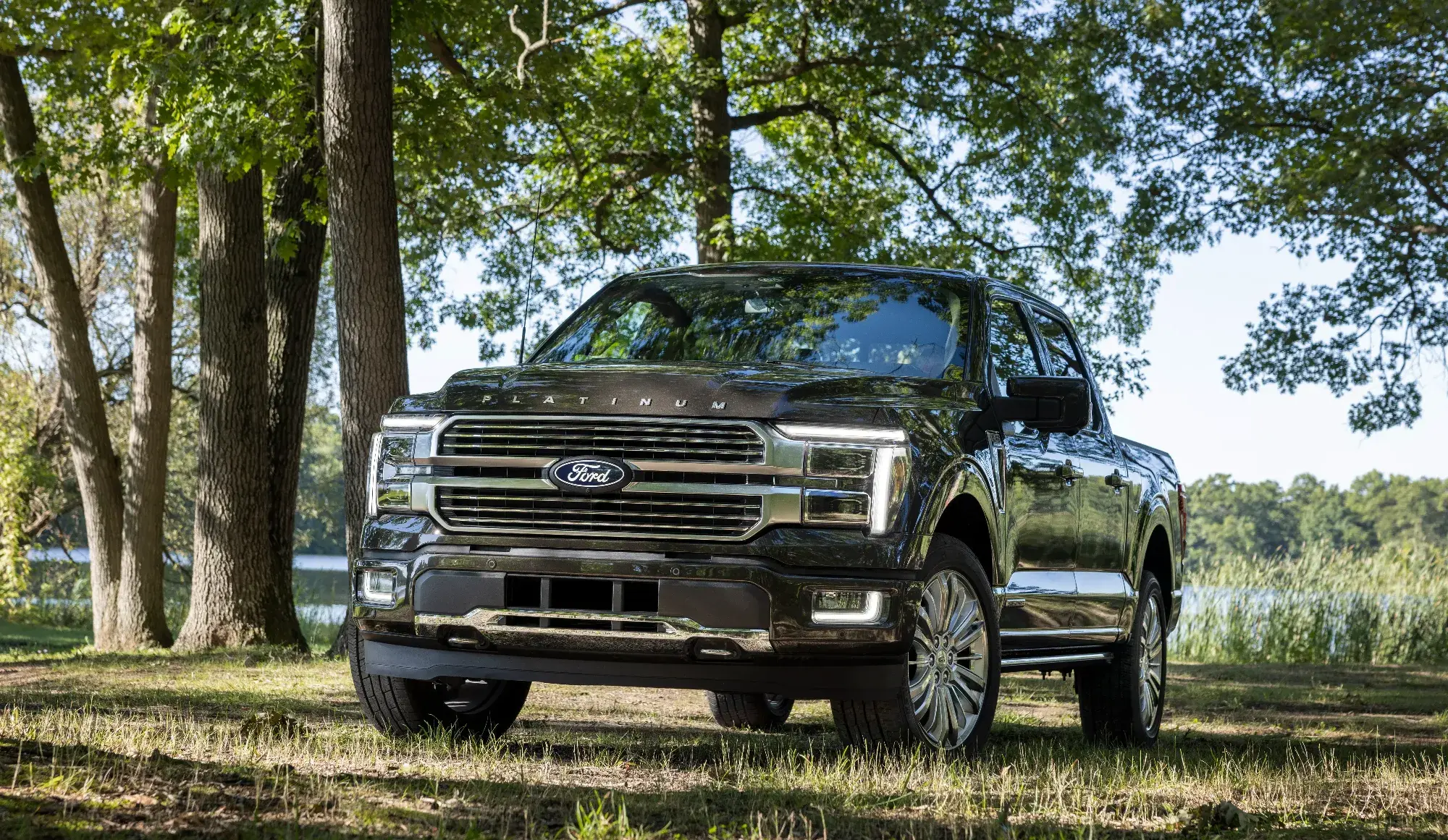 2024 Ford F 150 Platinum 02
