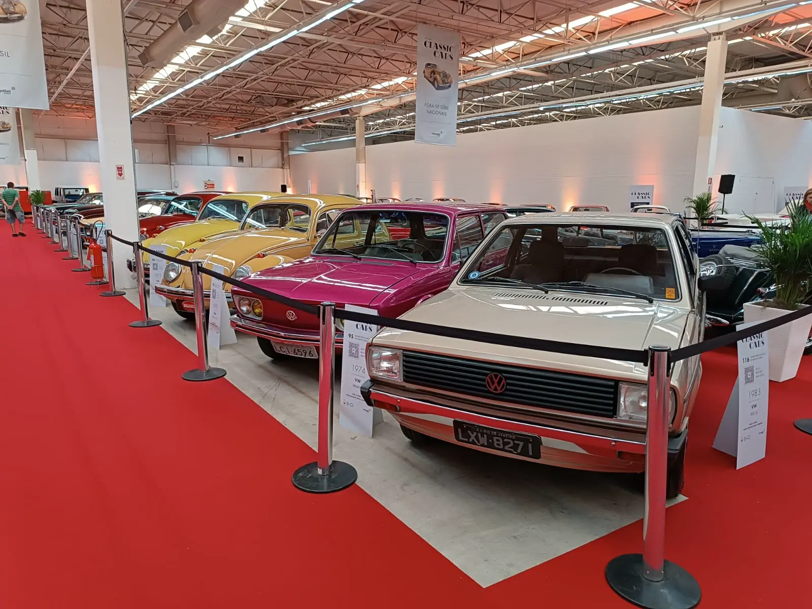 Vw Gol 1983, Vw Brasília 1974 E Outros Nacionais