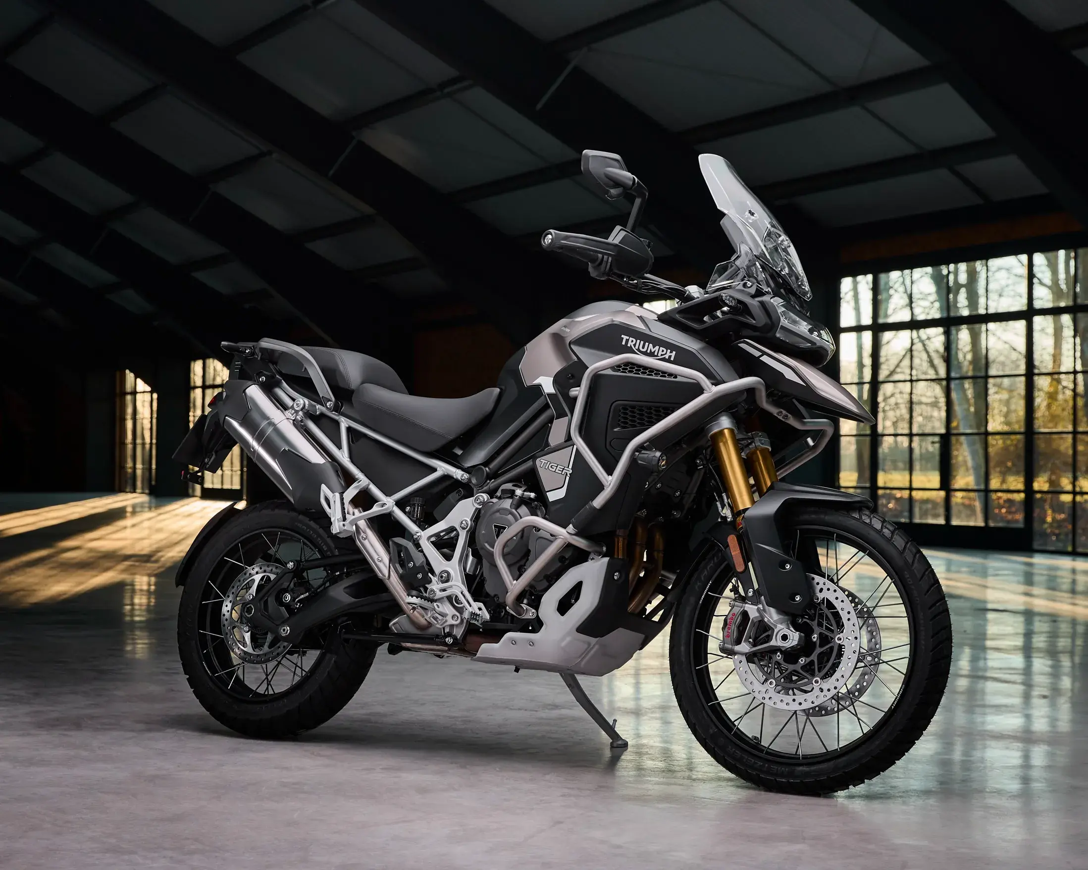 Triumph Tiger 1200 Rally Explorer 2024 (1)