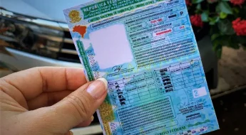 Nova Cnh Capa Crédito Detran Mt