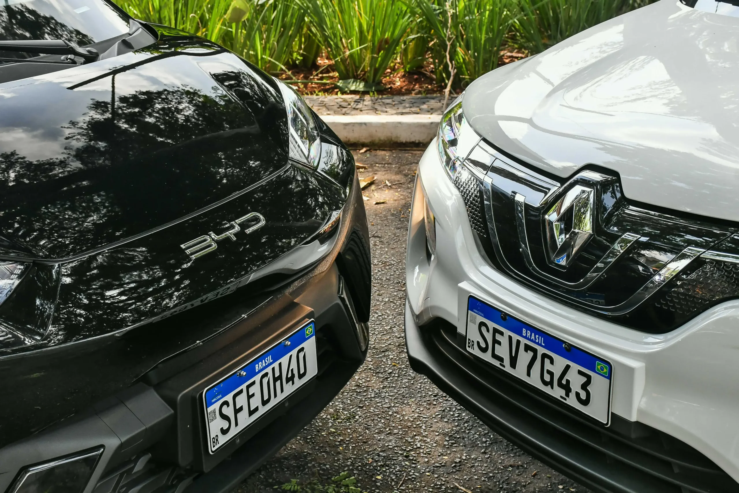 Kwid E Tech X Byd Dolphin Mini 2723 (12)