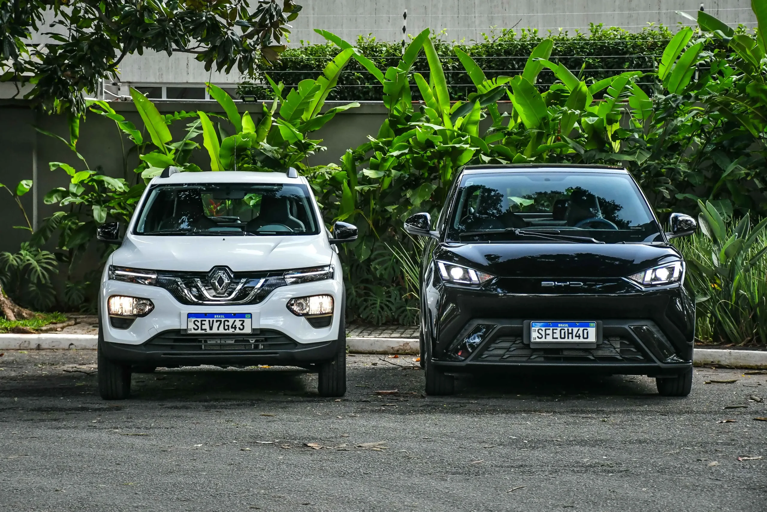 Kwid E Tech X Byd Dolphin Mini 2723 (13)