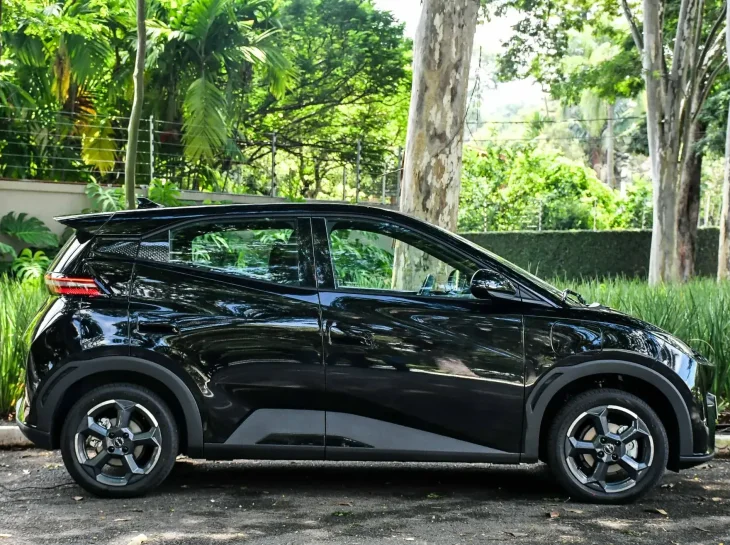 BYD Dolphin Mini: segurança, economia e tecnologia