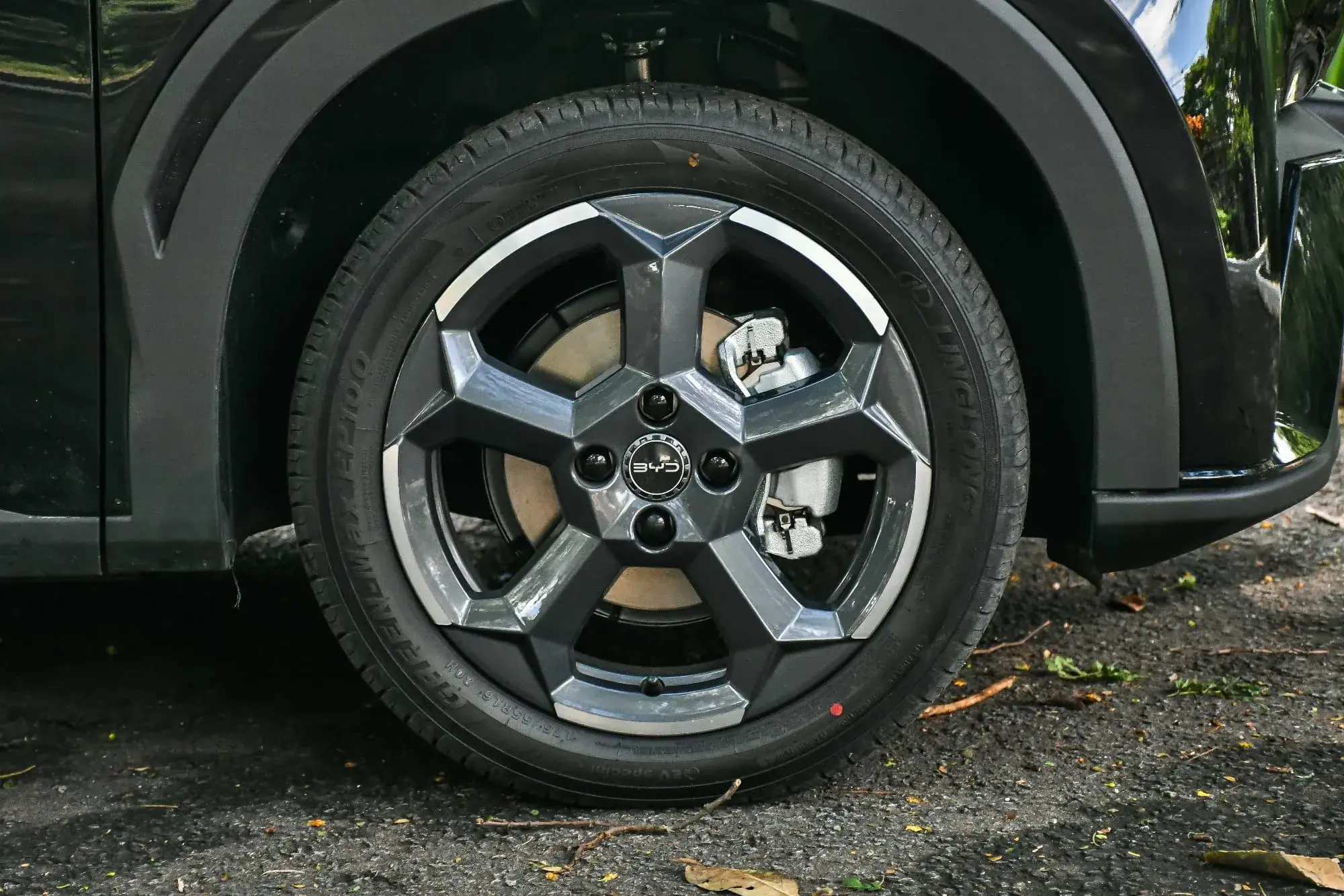 Byd Dolphin Mini Webmotors (28)