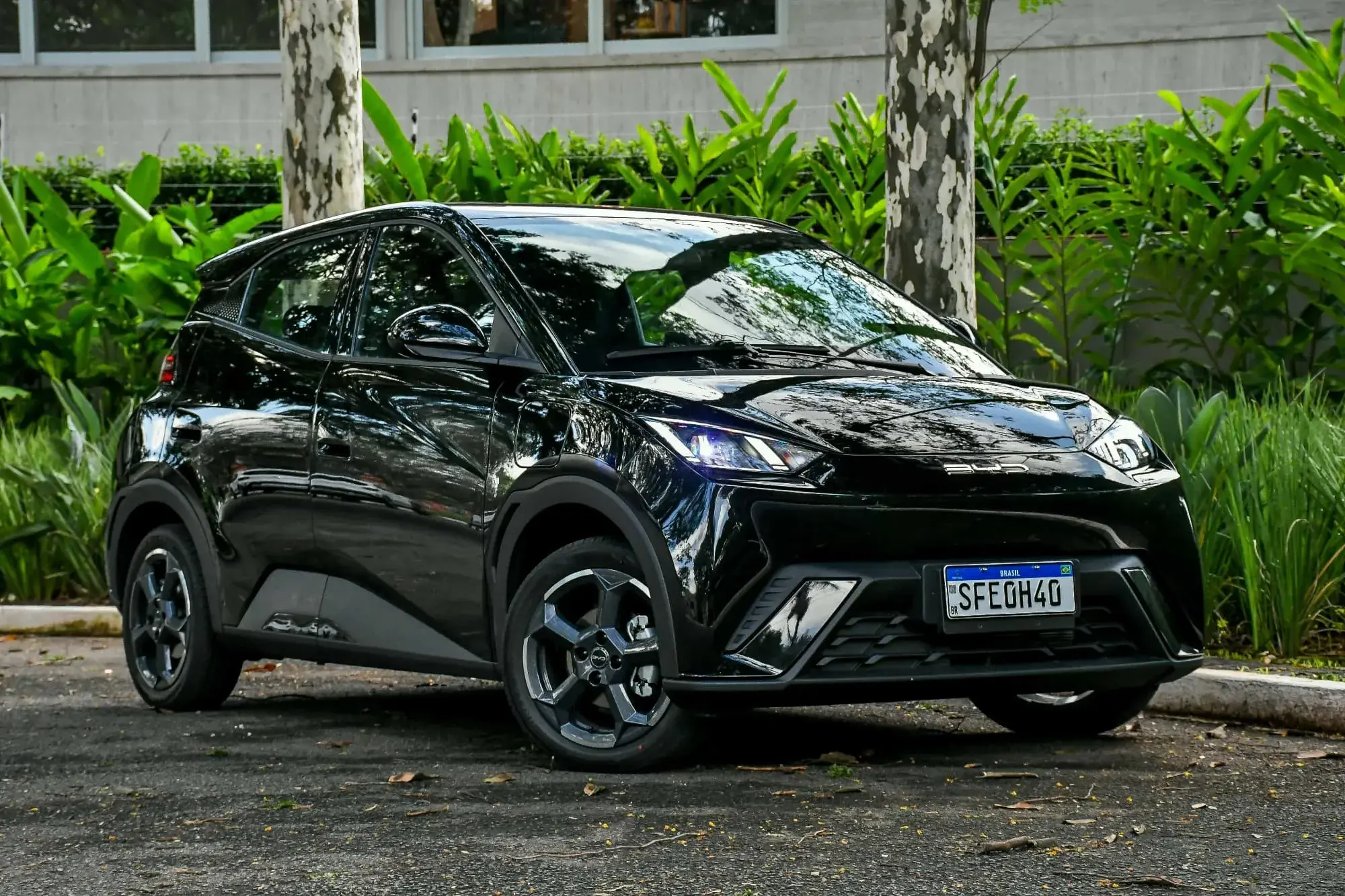 BYD, fabricante do Dolphin Mini, é a marca que mais vende carro com motor elétrico 