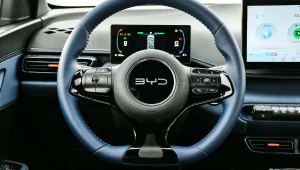 Byd Dolphin Mini Webmotors (42)