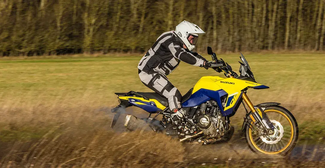 ウメ v-strom-800-de.webp