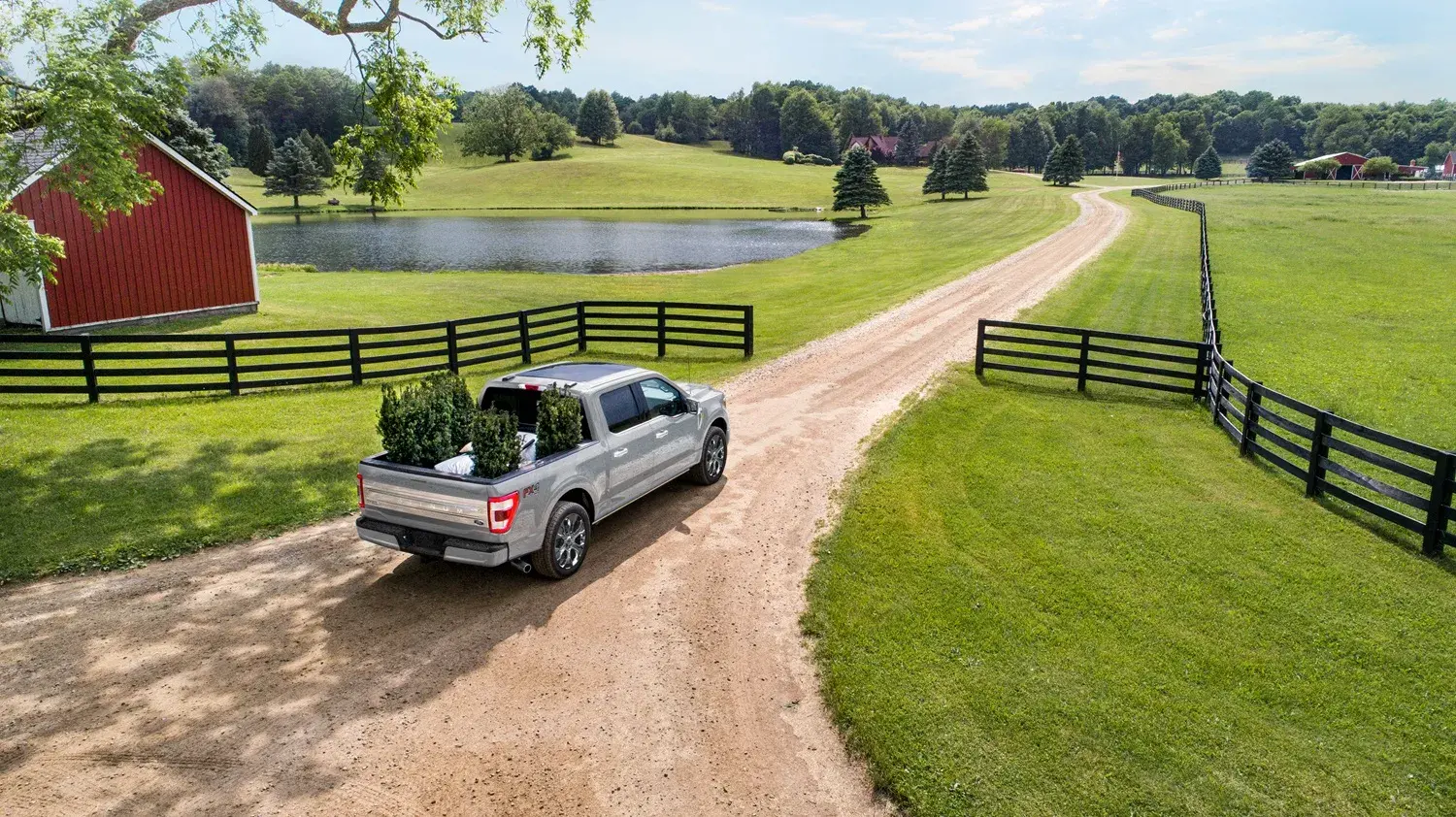 Ford F 150 Platinum 19