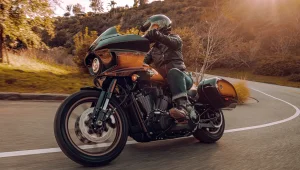 Harley Davidson Low Rider St Tobacco Fade Enthusiast (5)