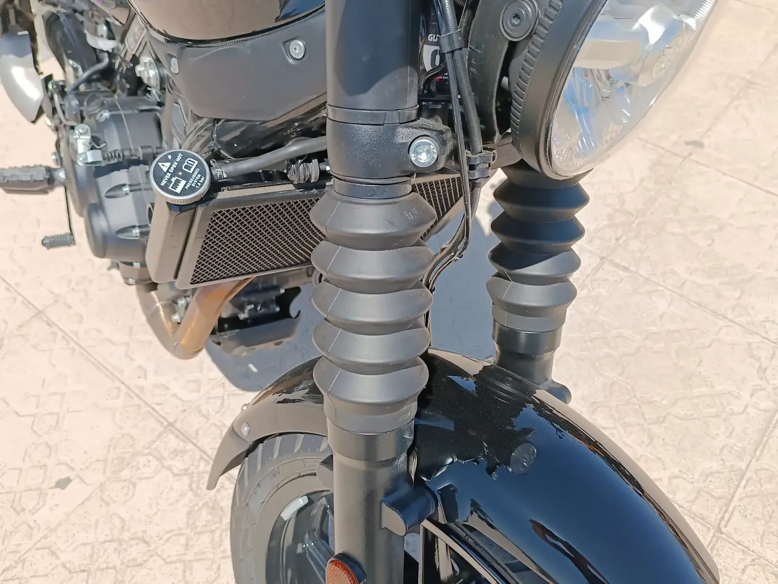 Royal Enfield Guerrilha 450 Sanfonas (2)
