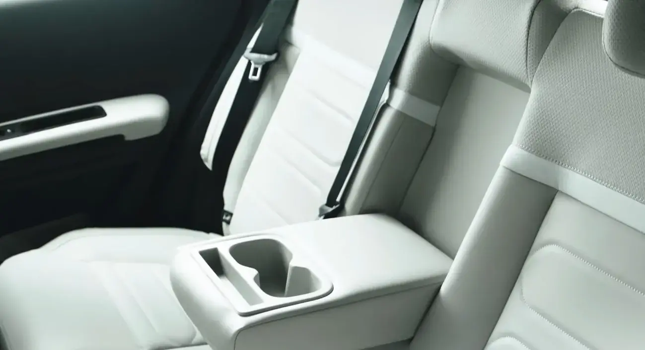 Citroen Basalt Oficial 2