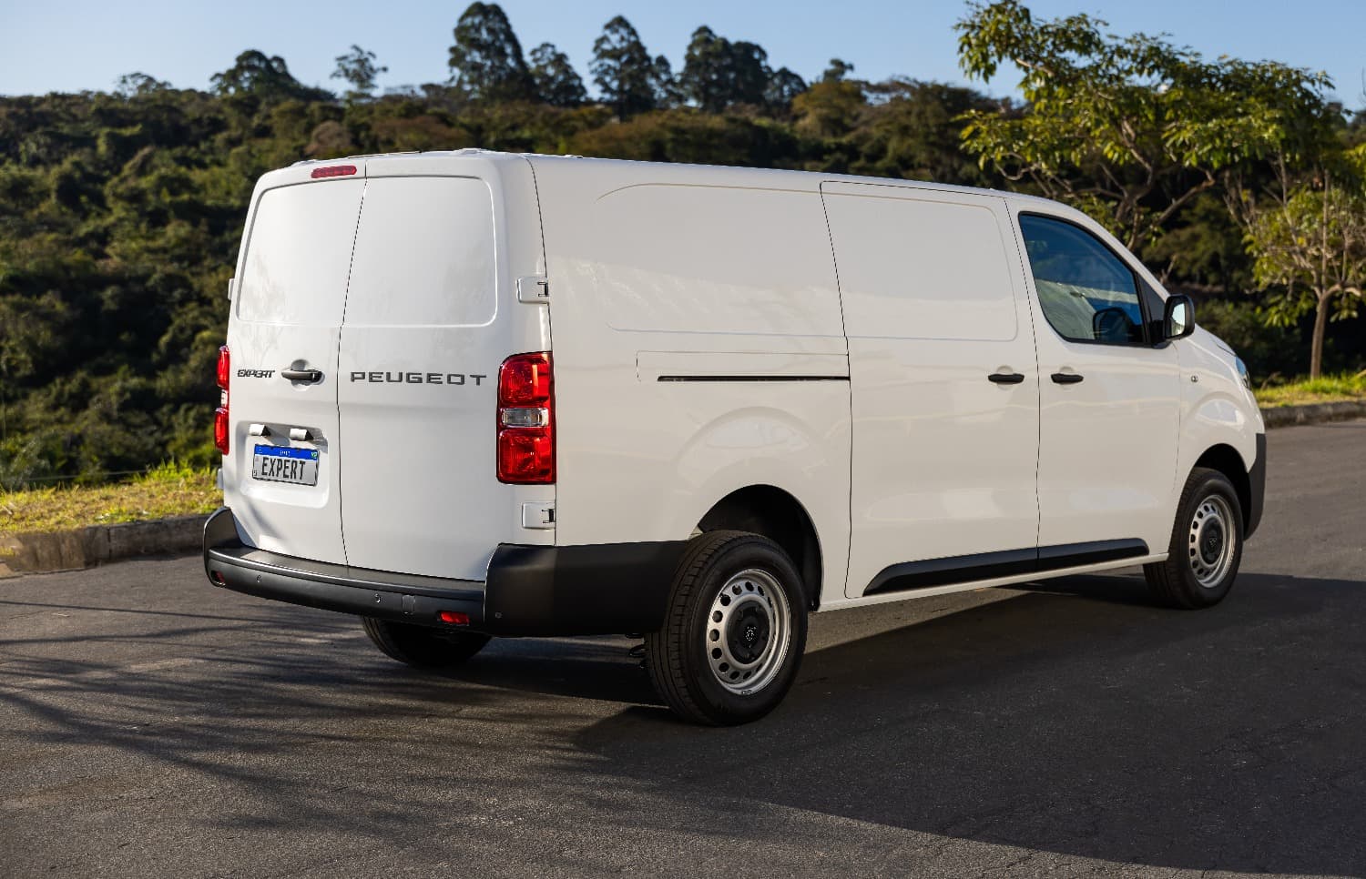 Peugeot Expert My25 Amb 005 (1)