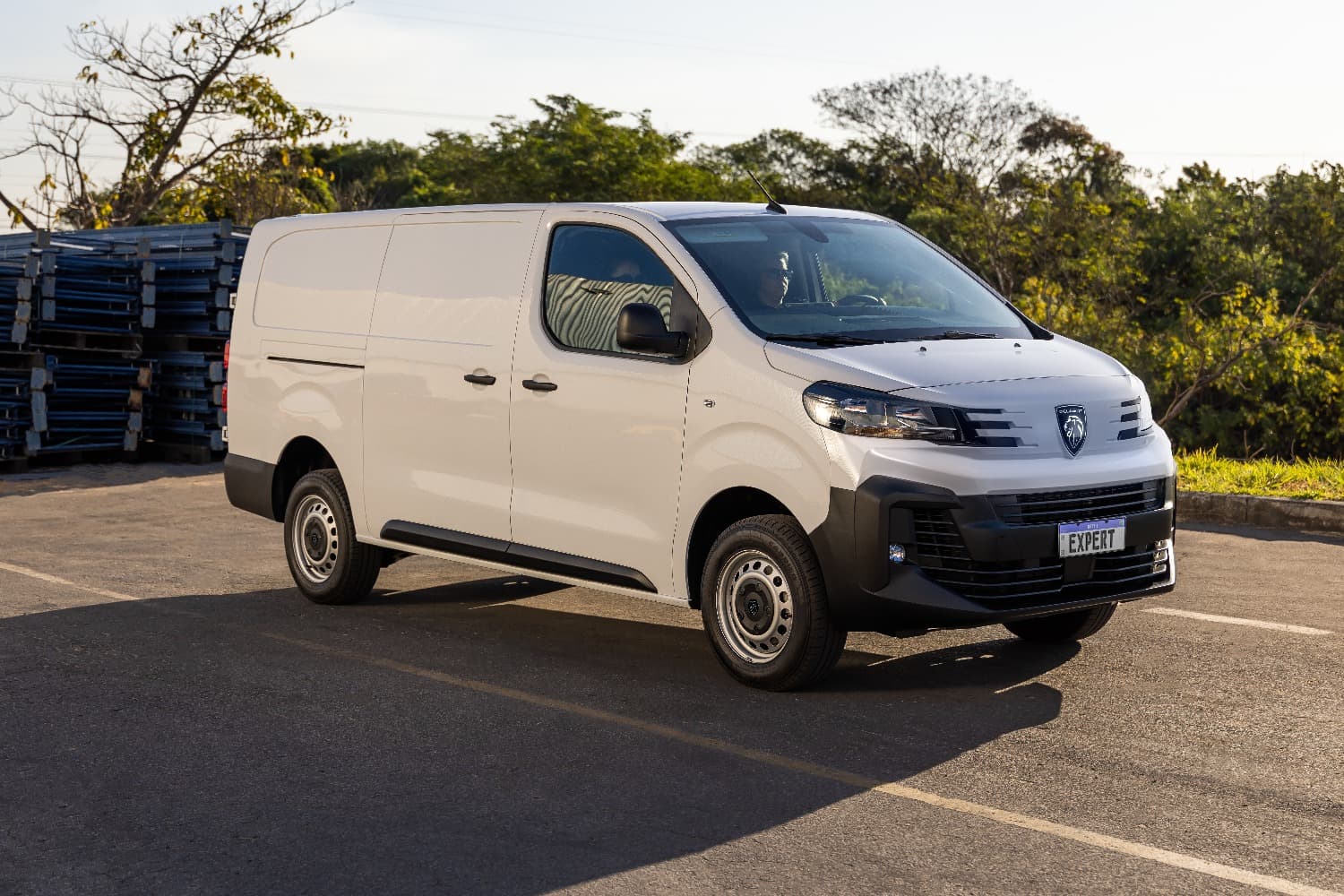 Peugeot Expert My25 Amb 004 (1)