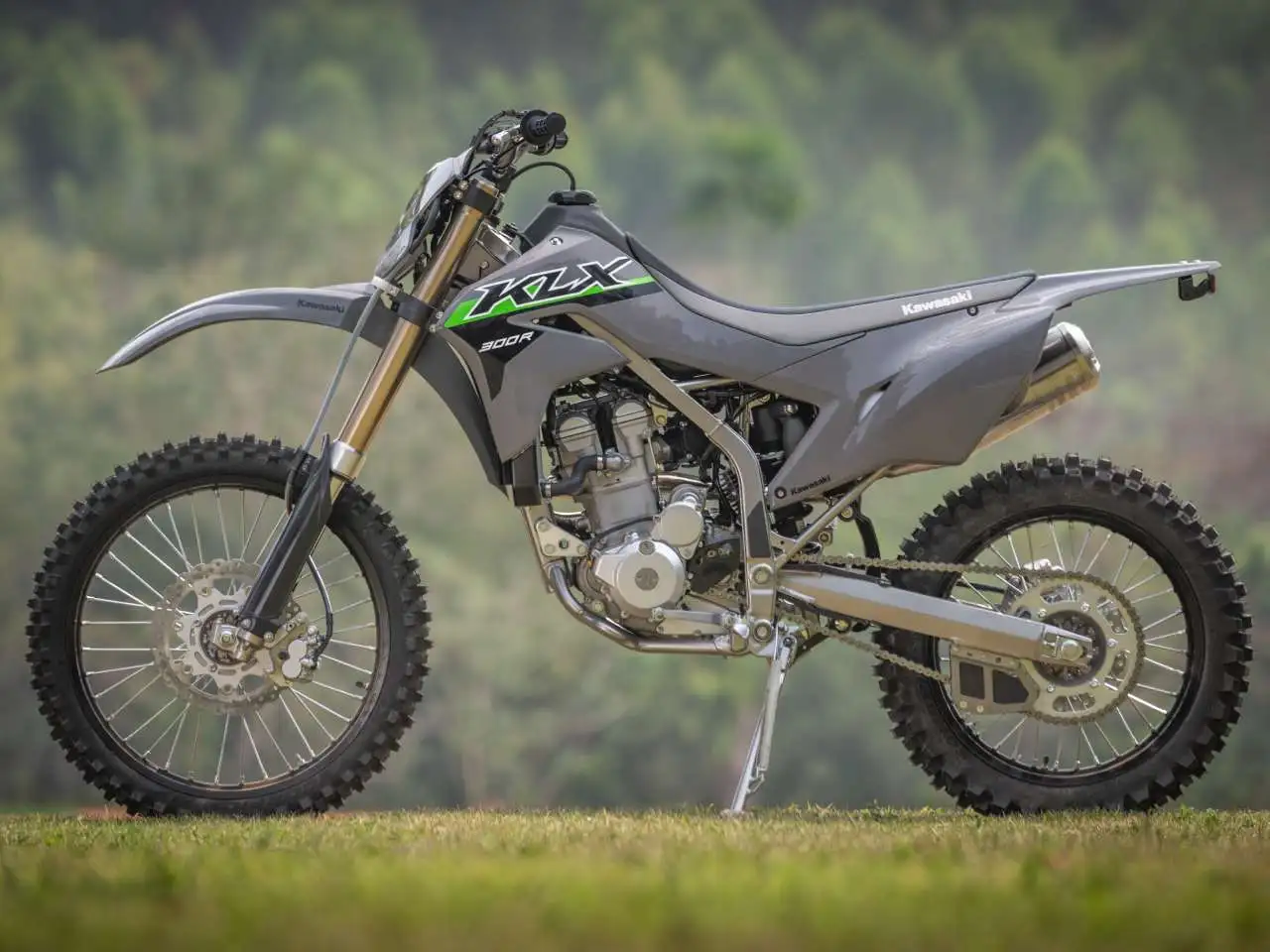 Kawasaki Klx 300r 4