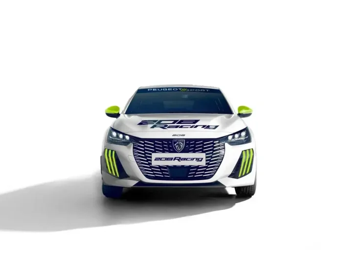 Peugeot 208 Racing: carro de rally de baixo custo