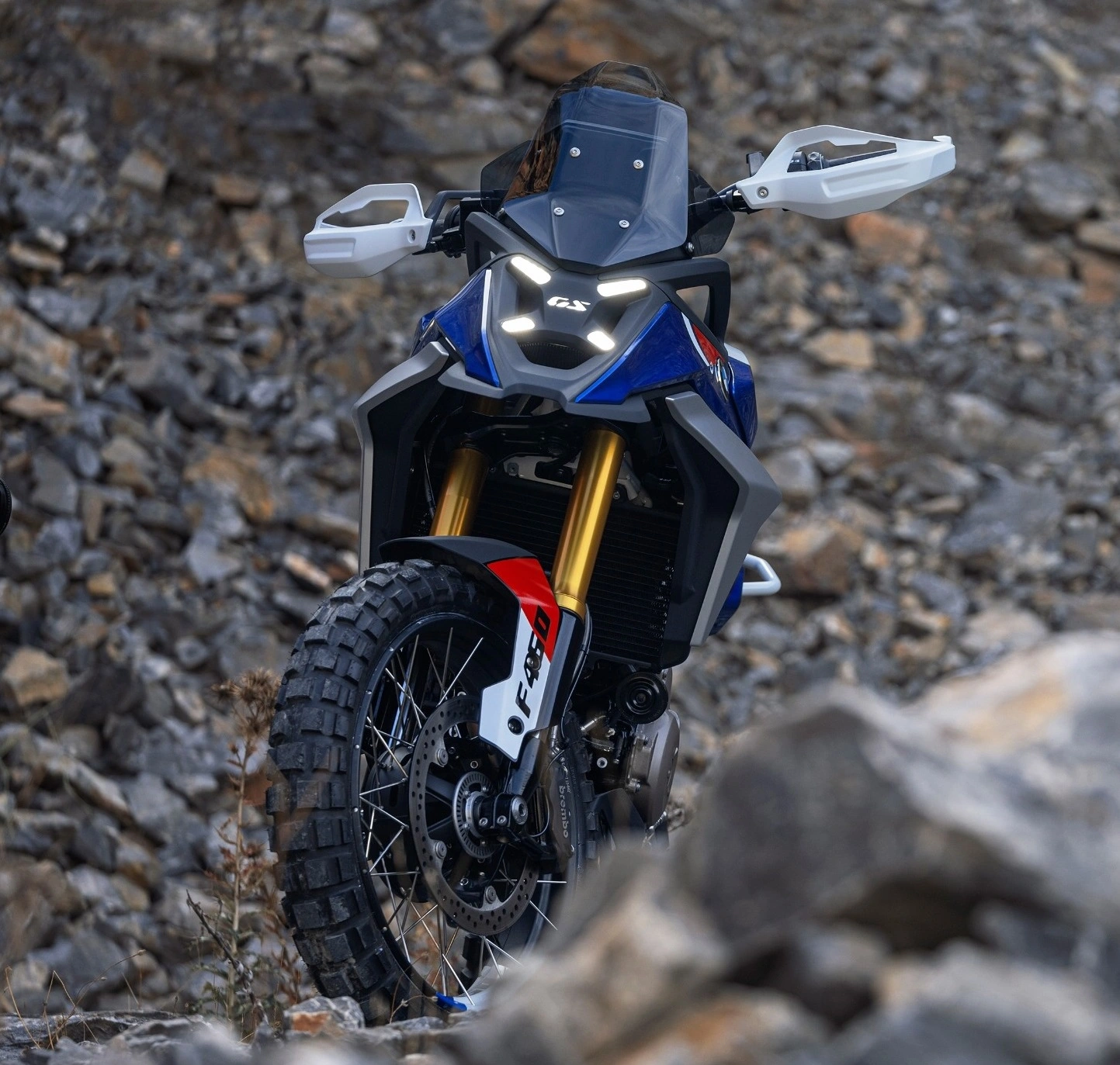Bmw F 450 Gs (3)