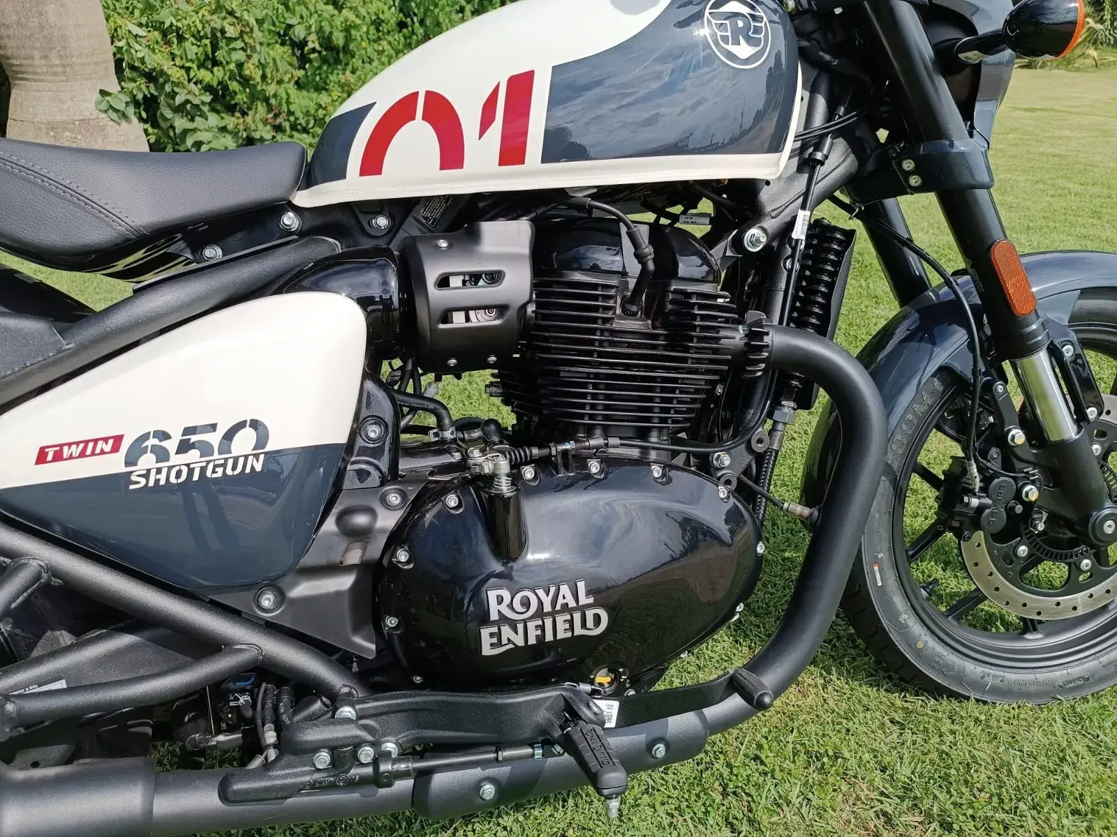 Royal Enfield Shotgun 650 Roberto Dutra (5)
