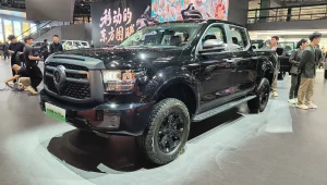 Gmw Poer Phev (1)