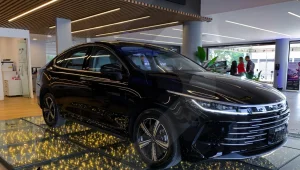 Byd King Gl
