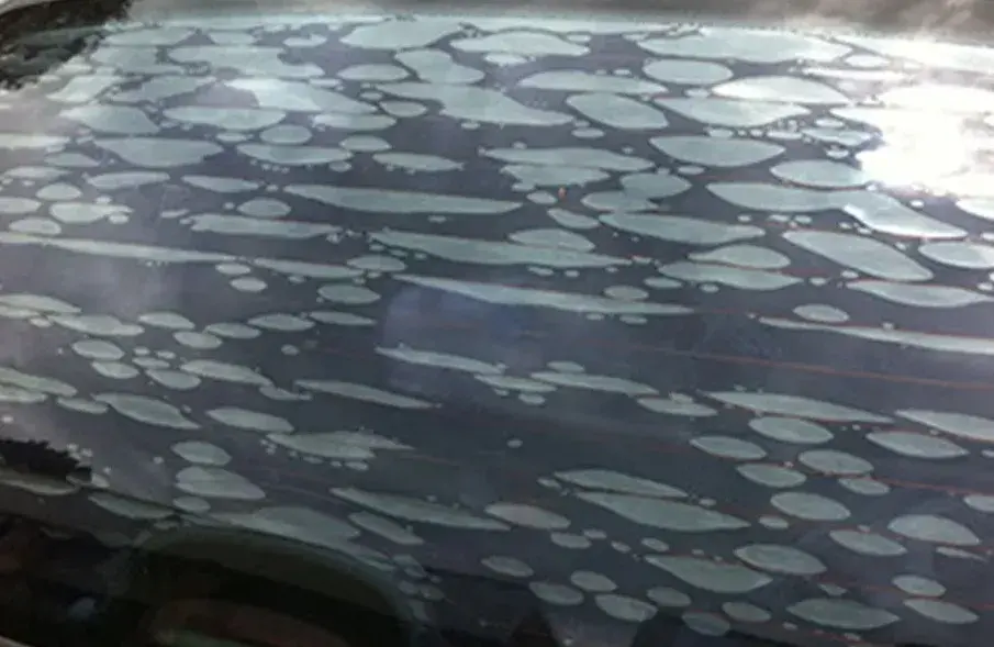 Pelicula Vidro Automotivo 3