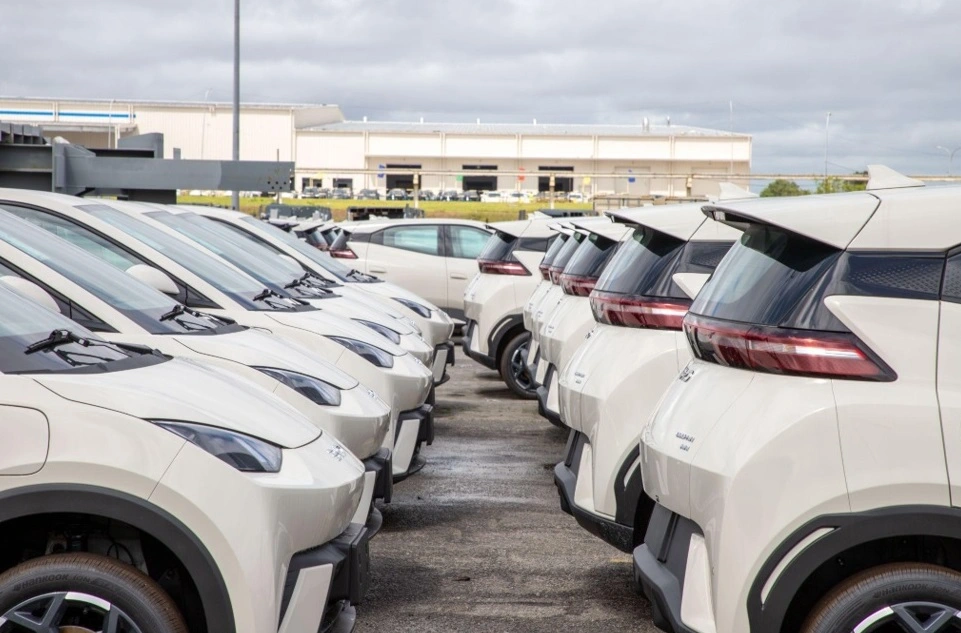 BYD Dolphin Mini supera o marca do 50 mil unidades vendidas