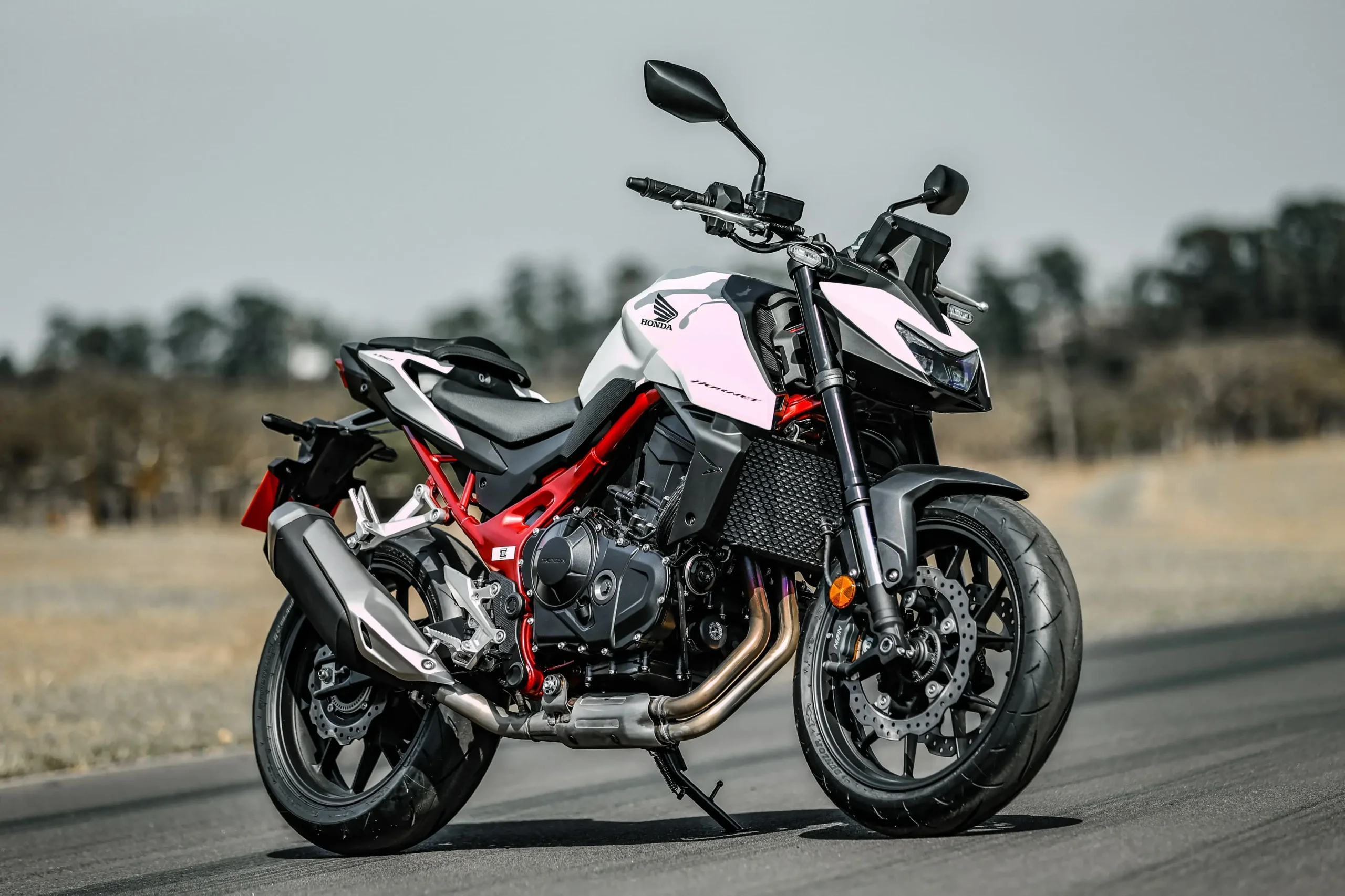A nova Hornet 750 chega para compor uma pequena "família" com a Hornet 500