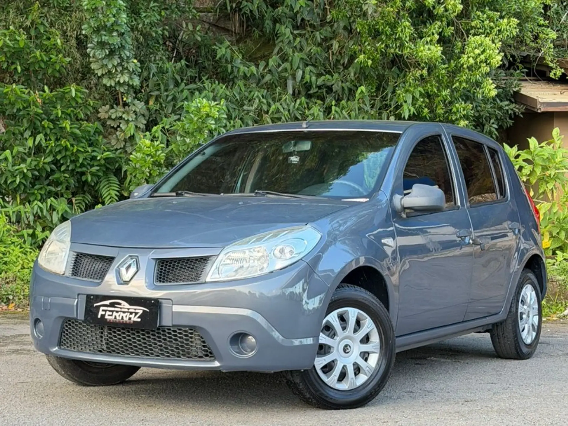 Renault Sandero 1 0 Authentique 16v Flex 4p Manual