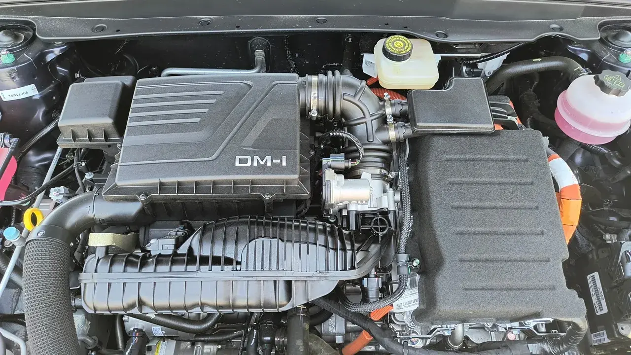 Byd King Gs 2026 (3)