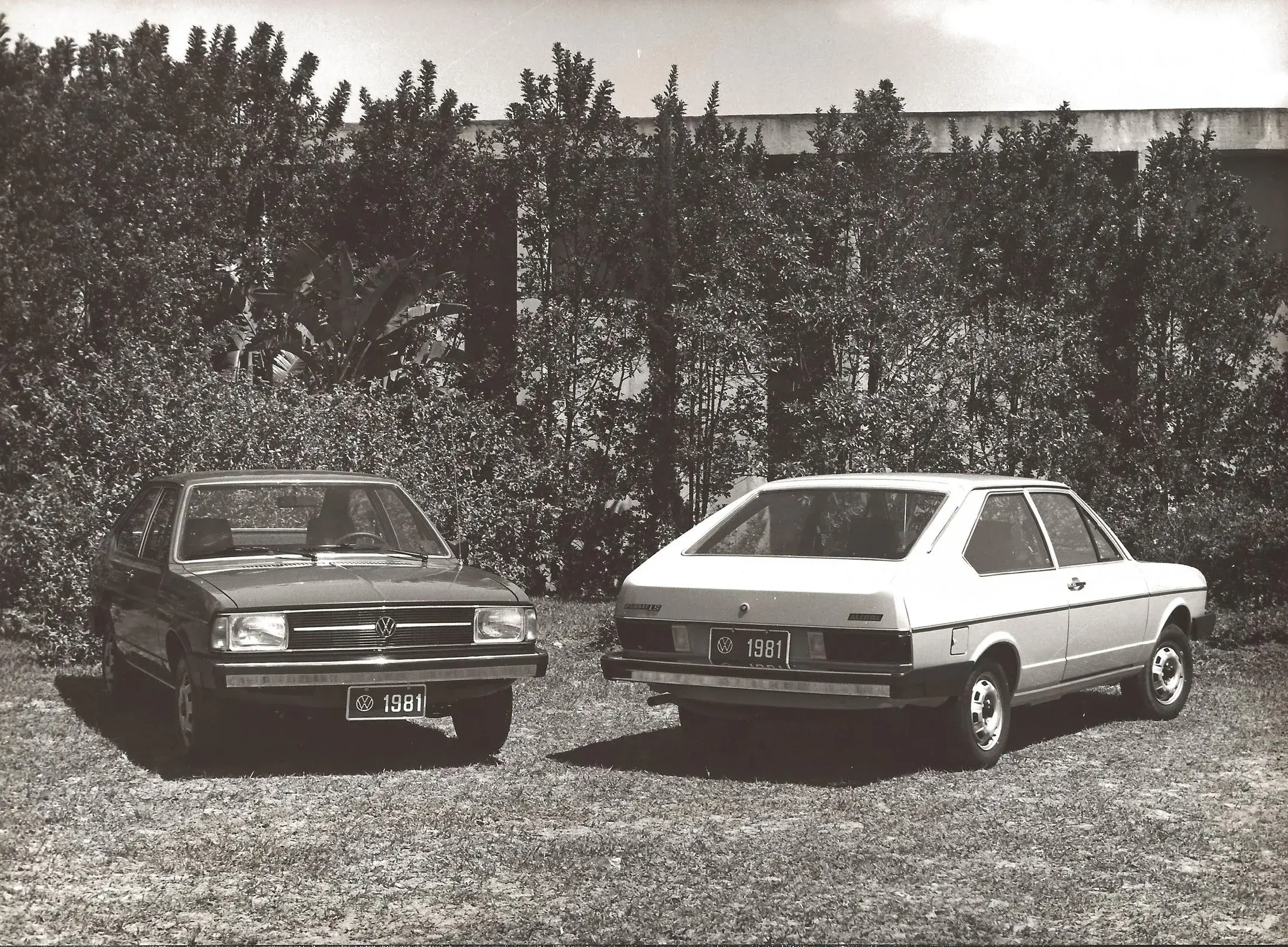 Volkswagen Passat 1981