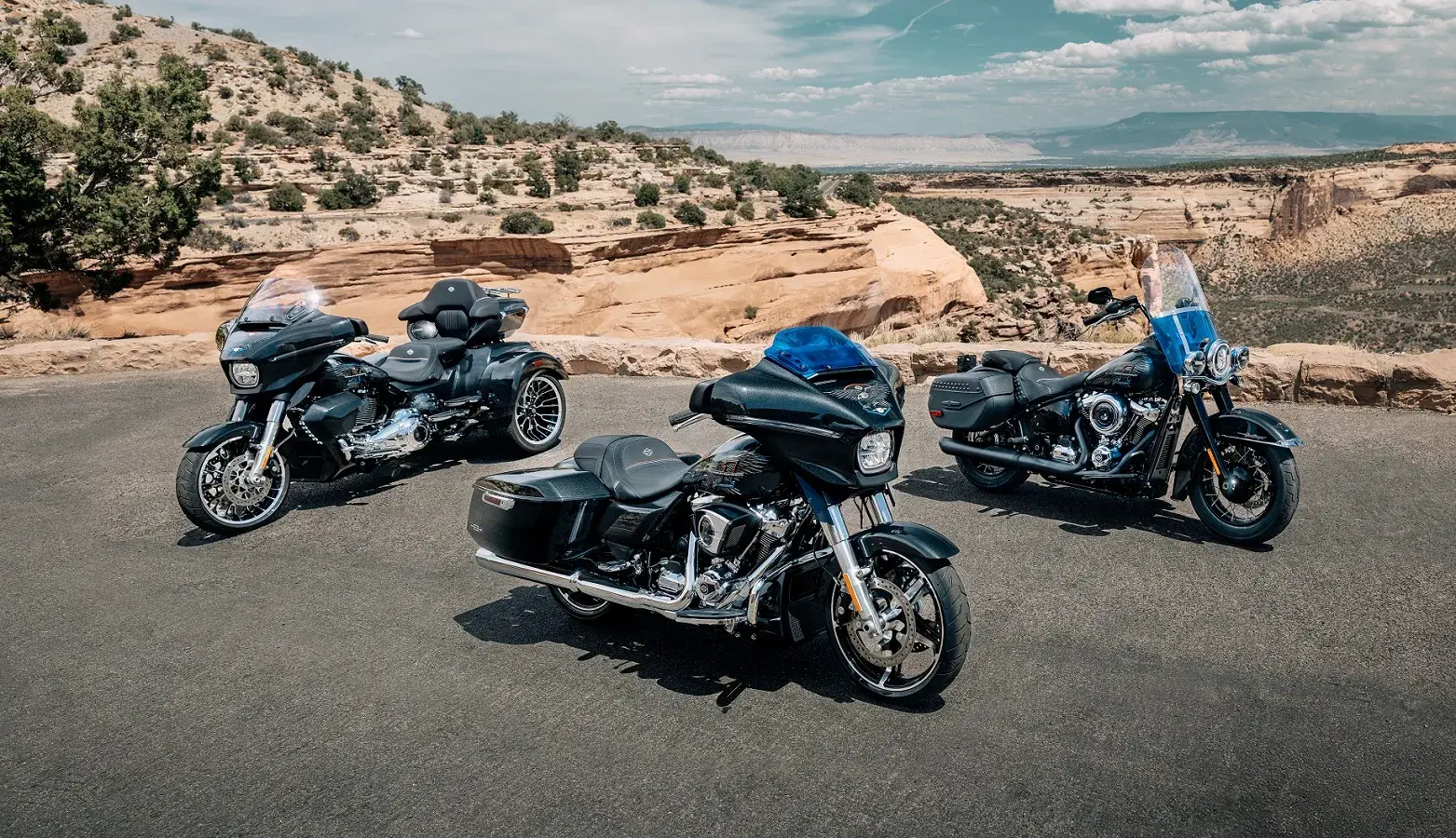 Harley Davidson Enthusiast Liberty Edition Family 2026