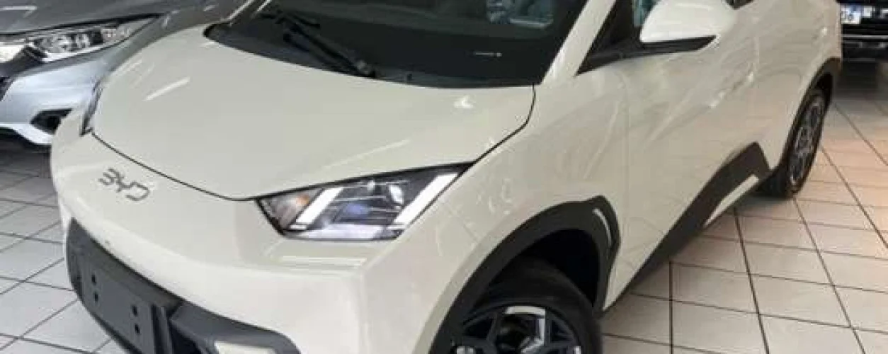 Byd Dolphin Mini Ate 150 Mil Jpg